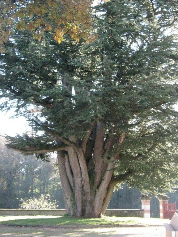 Chateau Lezat - Chambres D'Hotes La Souterraine Kültér fotó